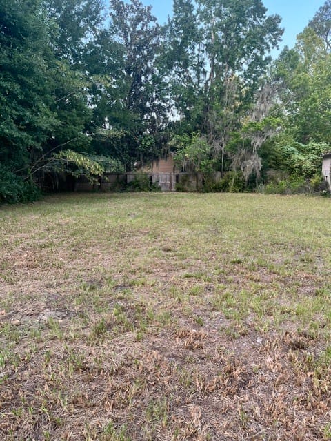 Okefenokee Drive, Folkston, Georgia