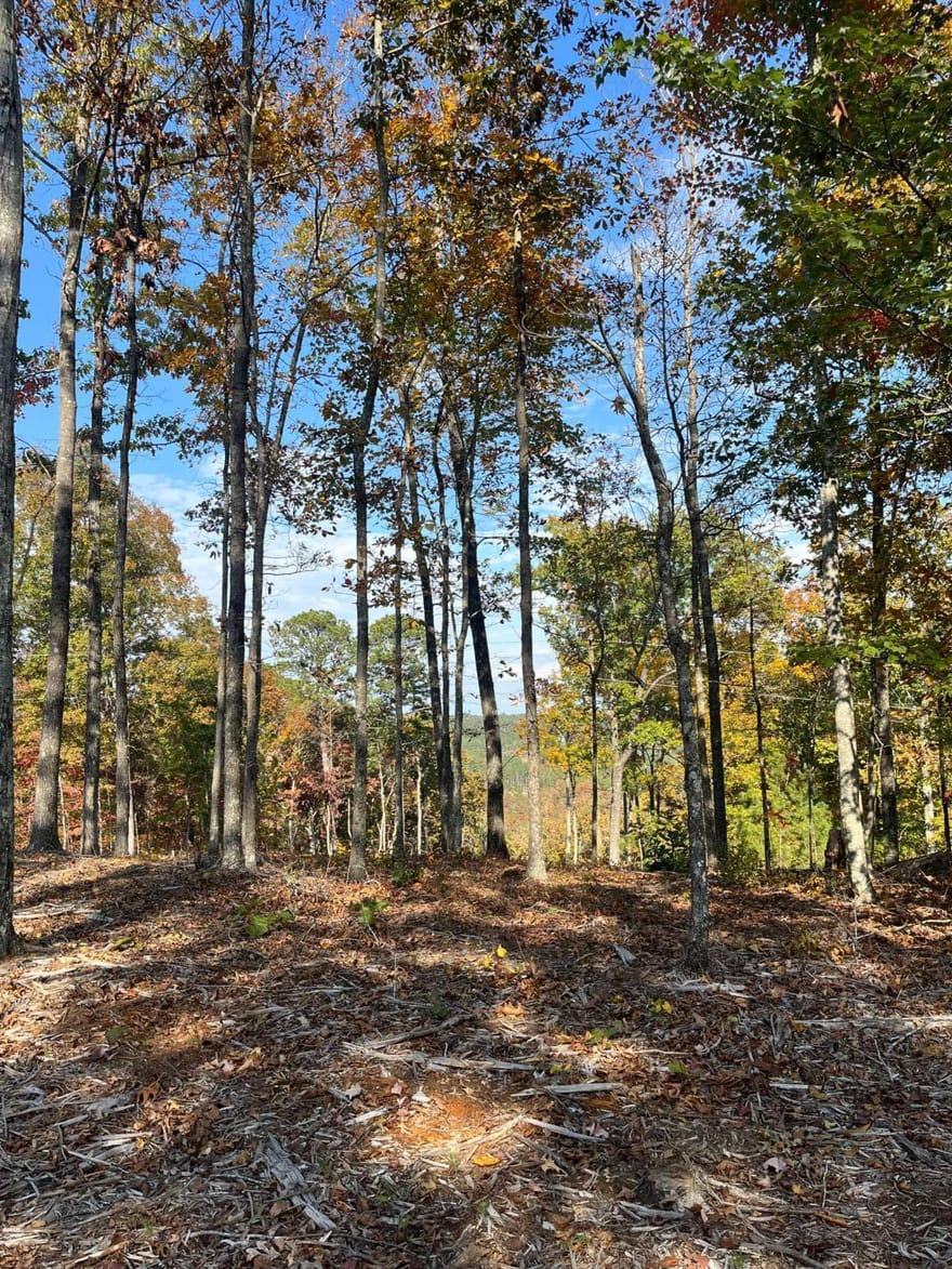 LOT 292 Creekside Crossing, Talking Rock, Georgia