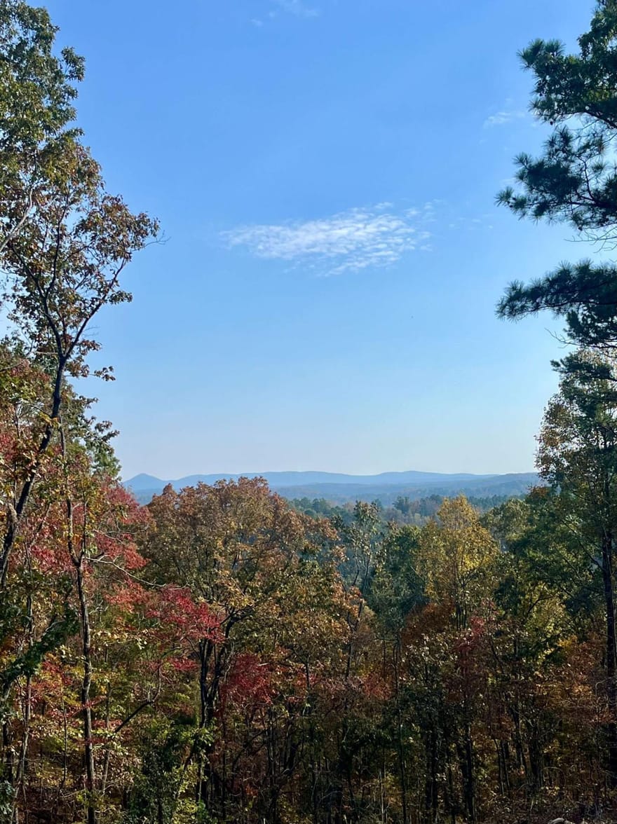 LOT 292 Creekside Crossing, Talking Rock, Georgia