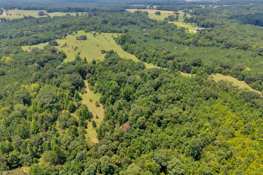 2361 Salem Road, Watkinsville, Georgia