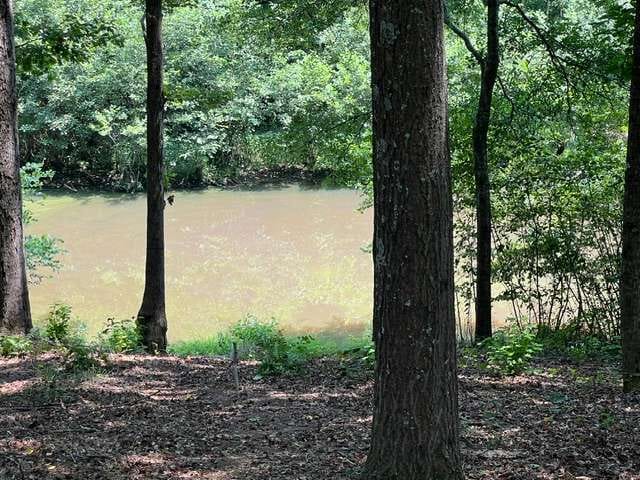 196 Old Scout Road, Jackson, Georgia