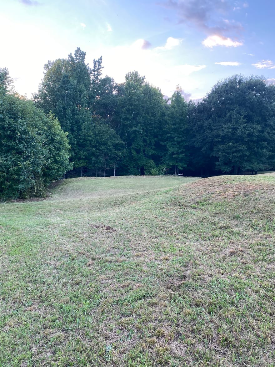 944 Muscovy Lane, Winder, Georgia