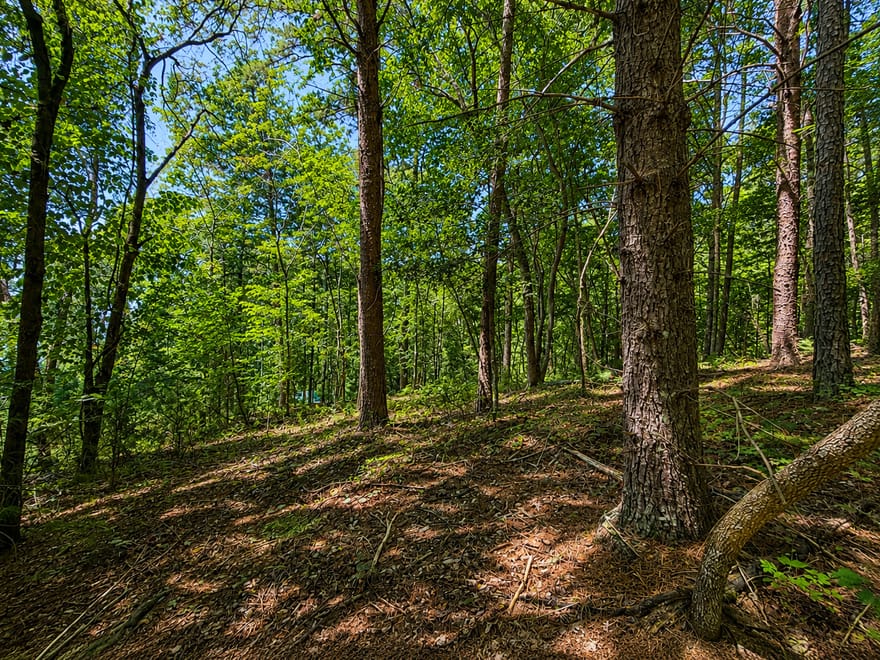 1652 Sable Court, Talking Rock, Georgia