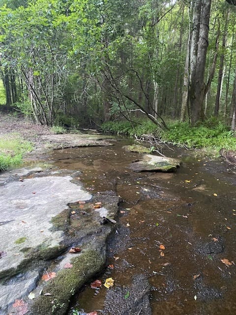 944 Muscovy Lane, Winder, Georgia