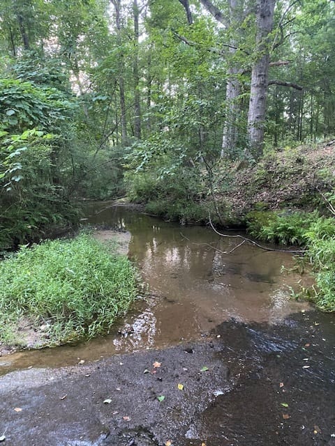 944 Muscovy Lane, Winder, Georgia