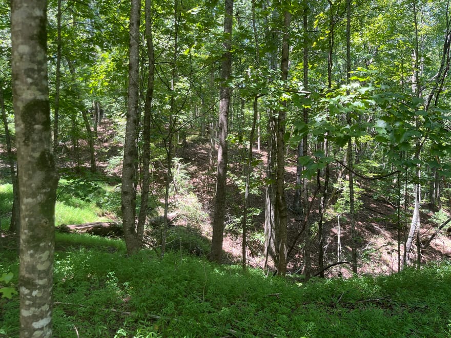 S Twin Oaks Drive, Ellijay, Georgia