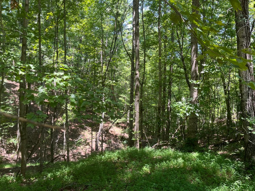 S Twin Oaks Drive, Ellijay, Georgia