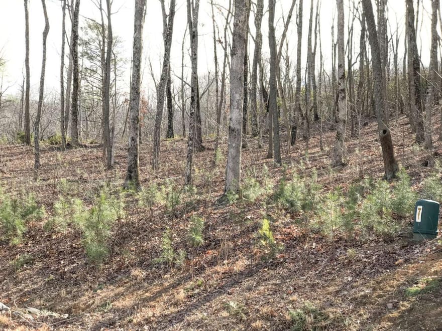 179 Trailwood Drive, Ellijay, Georgia
