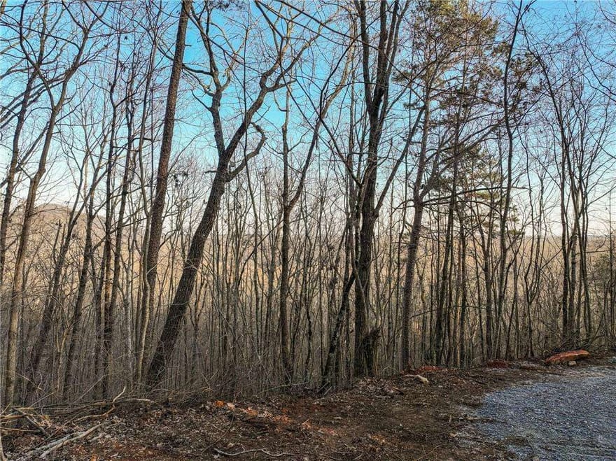 LOT 7 Mount Mincie Road, Murrayville, Georgia