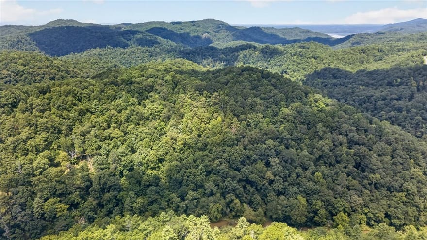 Elk Trail, Talking Rock, Georgia