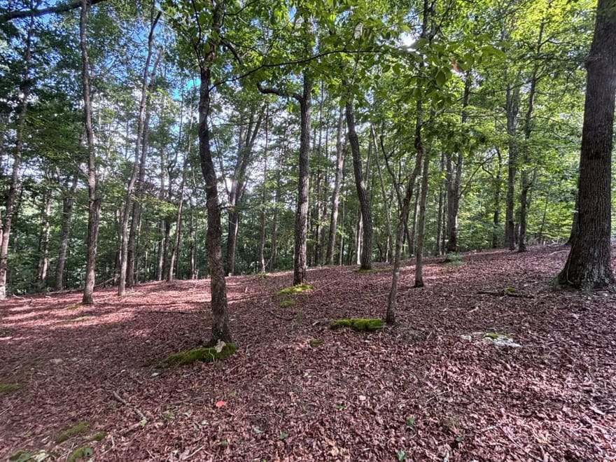 LOT 5 Westwood Avenue, Blairsville, Georgia