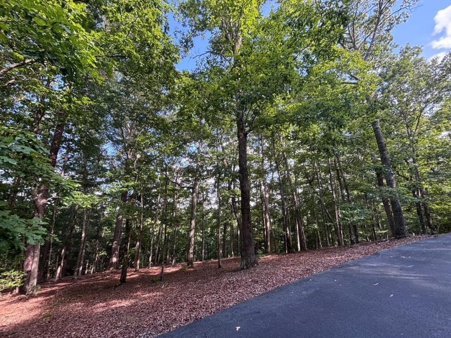 LOT 5 Westwood Avenue, Blairsville, Georgia