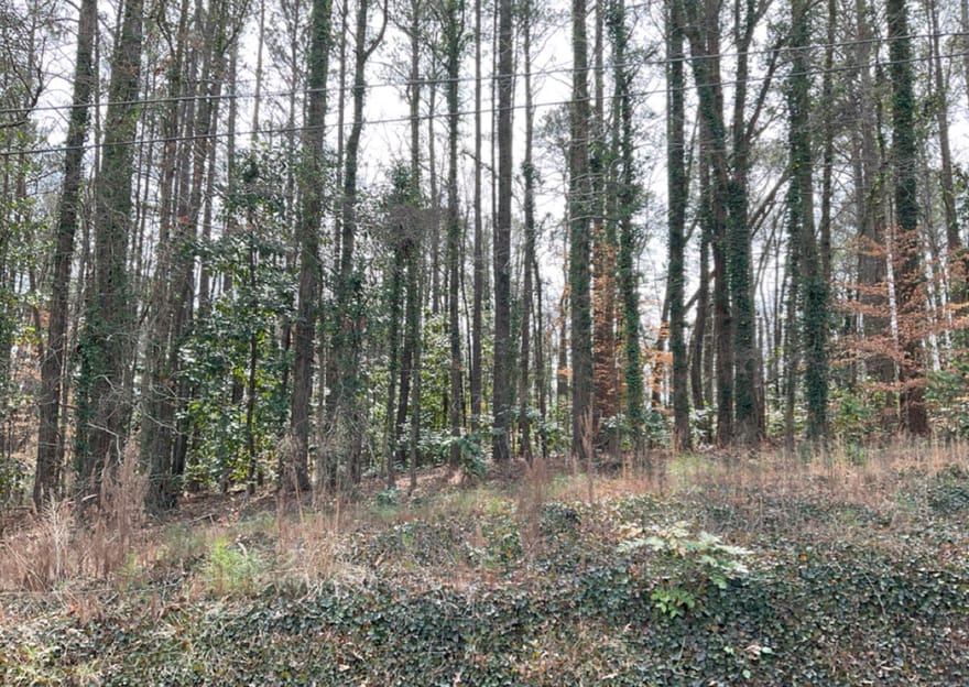 Head Avenue, Tallapoosa, Georgia