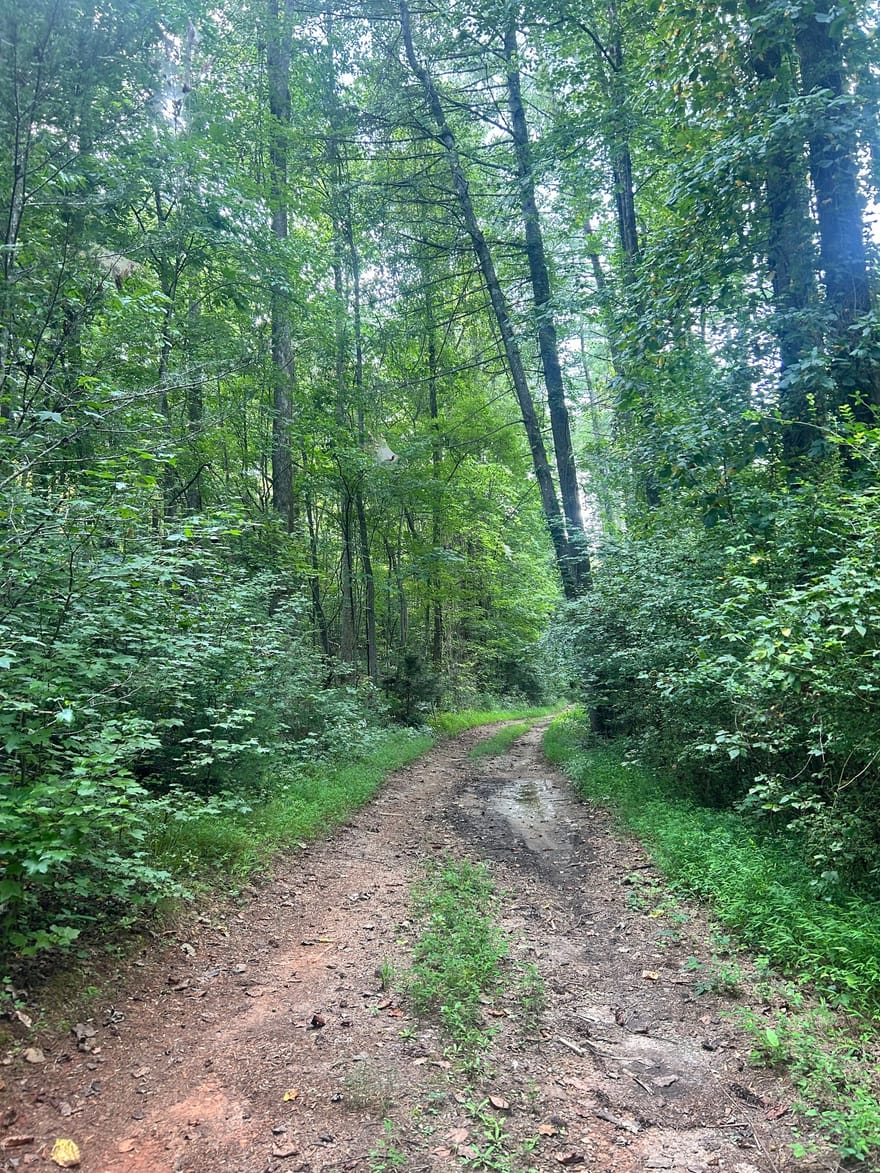 505 Hank Fry Road, Clarkesville, Georgia