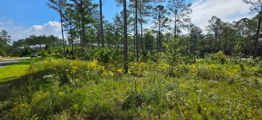 LOT 65 High River Landing, Ellijay, Georgia