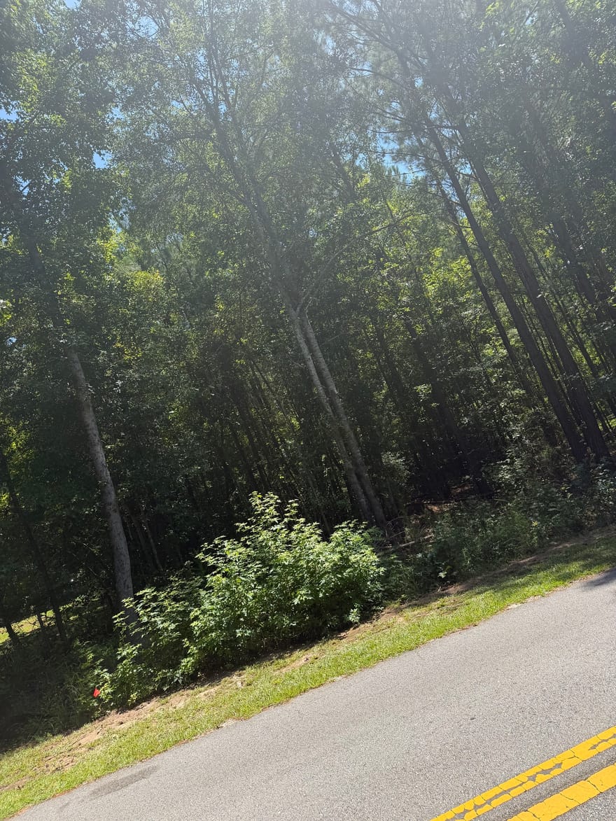 Opal Street, Luthersville, Georgia
