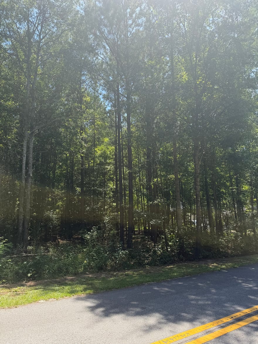 Opal Street, Luthersville, Georgia