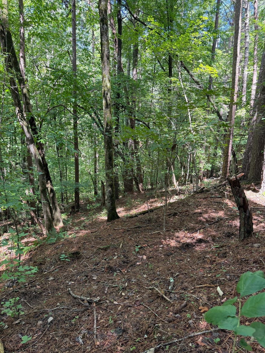 1707 Rebekah Ridge Road, Talking rock, Georgia