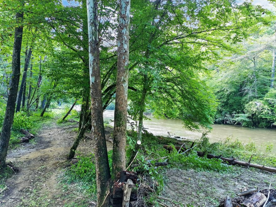 643 Woodstone Trail, Ellijay, Georgia
