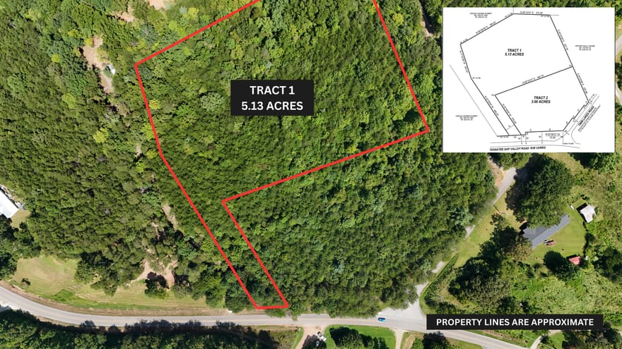 TRACT 1 Tesnatee Gap Valley Road, Cleveland, Georgia