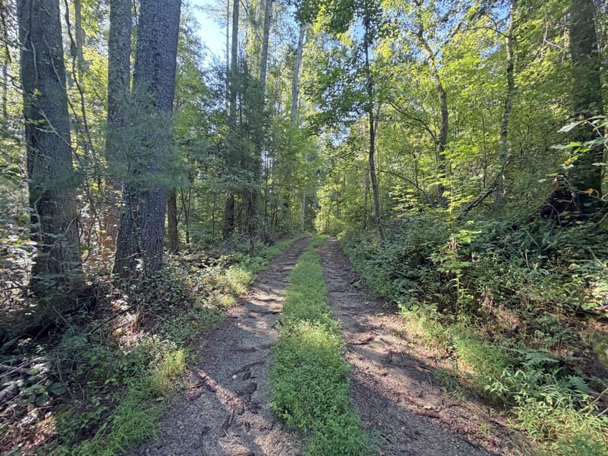 505 Hank Fry Road, Clarkesville, Georgia