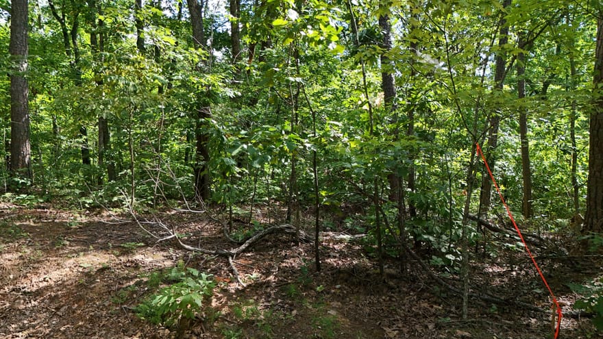 LOT 175 Mountain Crest Drive, Clarkesville, Georgia