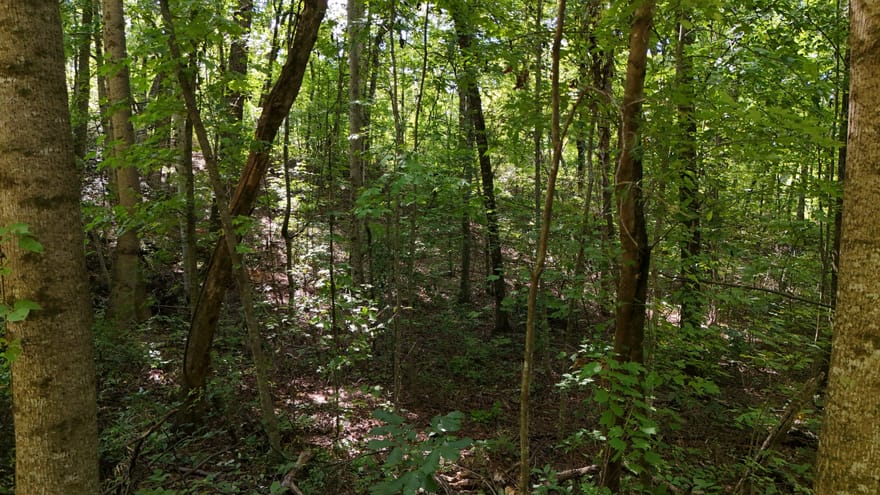 LOT 195 Fern Valley Trail, Clarkesville, Georgia
