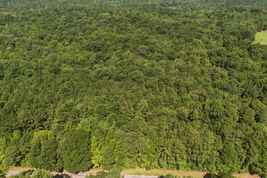3140 Highway 229, Mansfield, Georgia