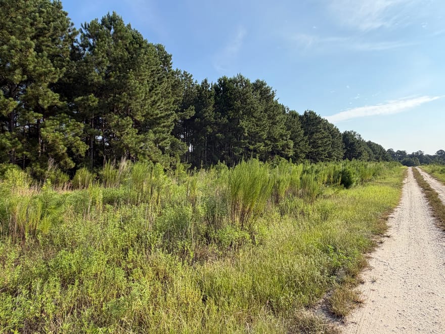 Highway 296, Stapleton, Georgia
