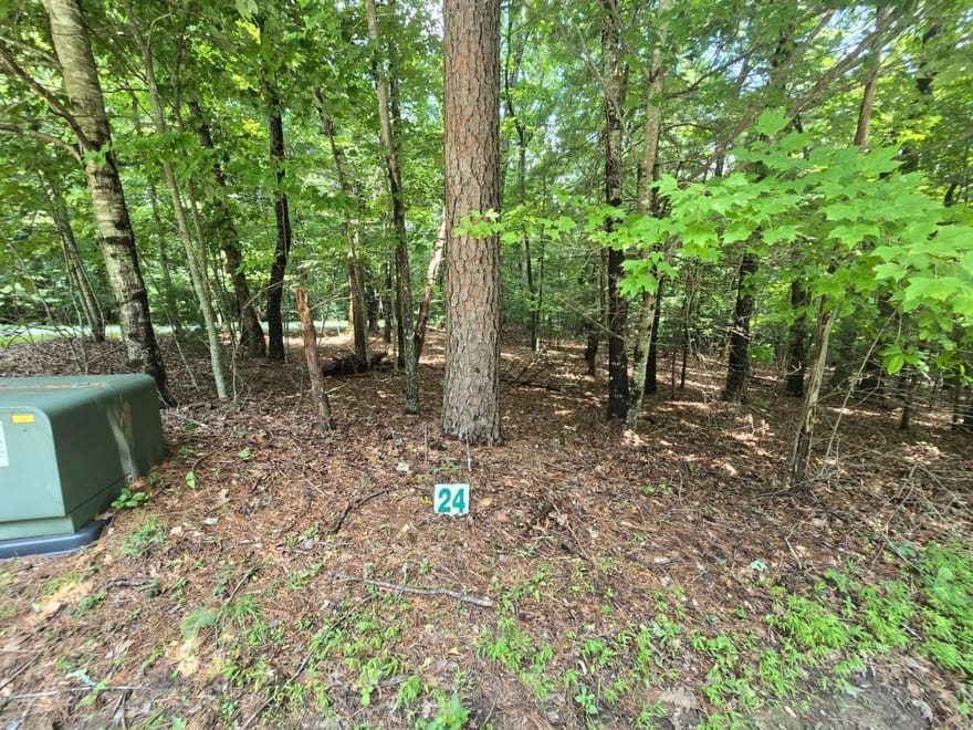 LOT 24 Possum Poke Road, Ellijay, Georgia