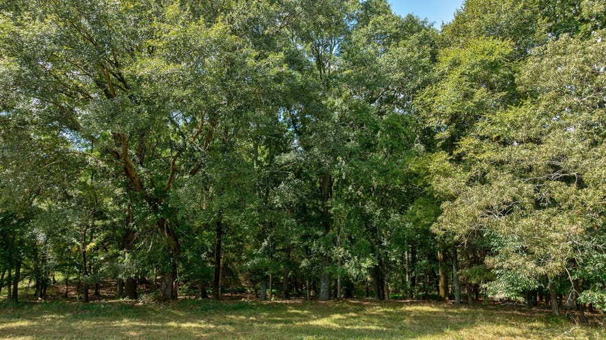 1160 Middlebrooks Road, Watkinsville, Georgia
