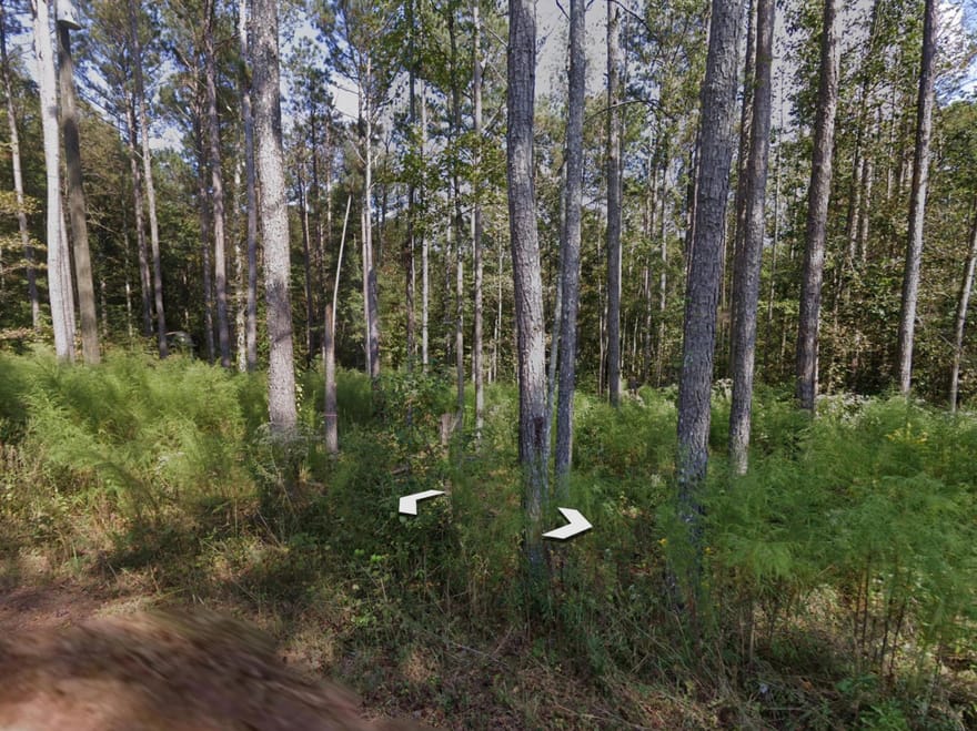 Holly Road, Bowdon, Georgia