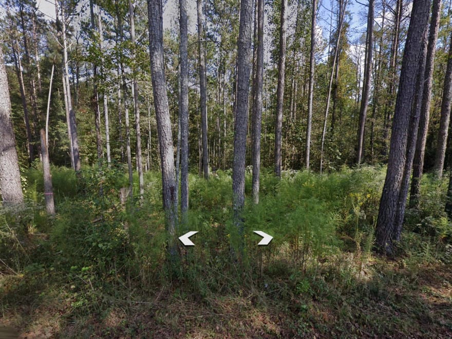 Holly Road, Bowdon, Georgia