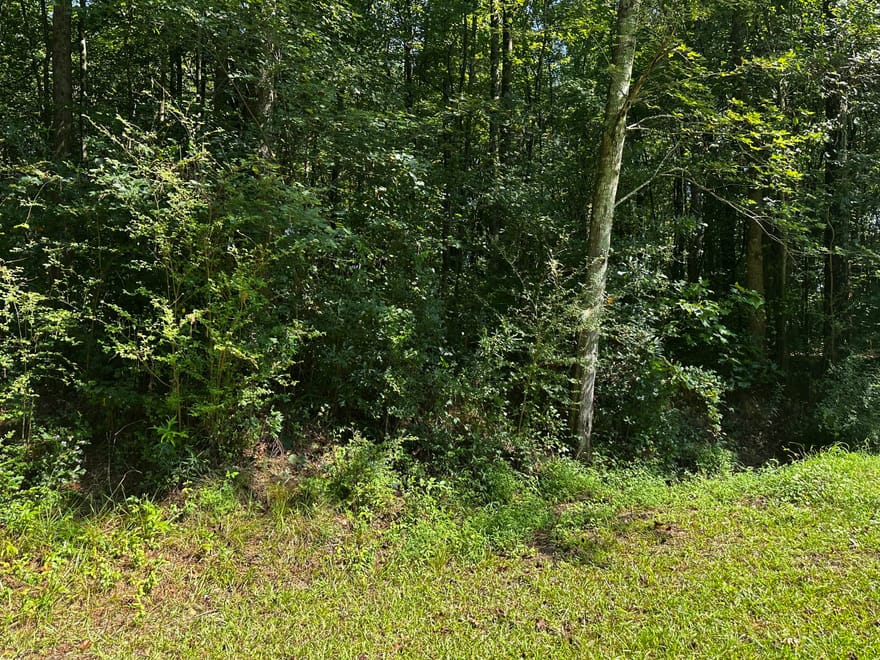 Overbrook Drive, Temple, Georgia