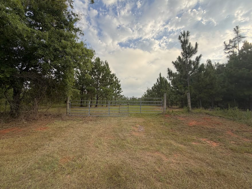 Oak Grove Road, Pine Mountain, Georgia