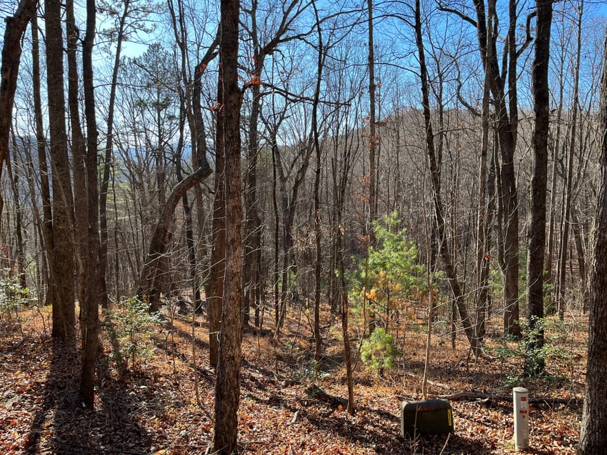 LOT #1 Forest Canopy Way, Clayton, Georgia