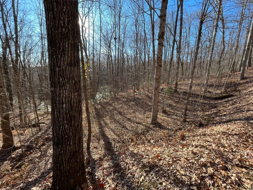 LOT #2 Forest Canopy Way, Clayton, Georgia