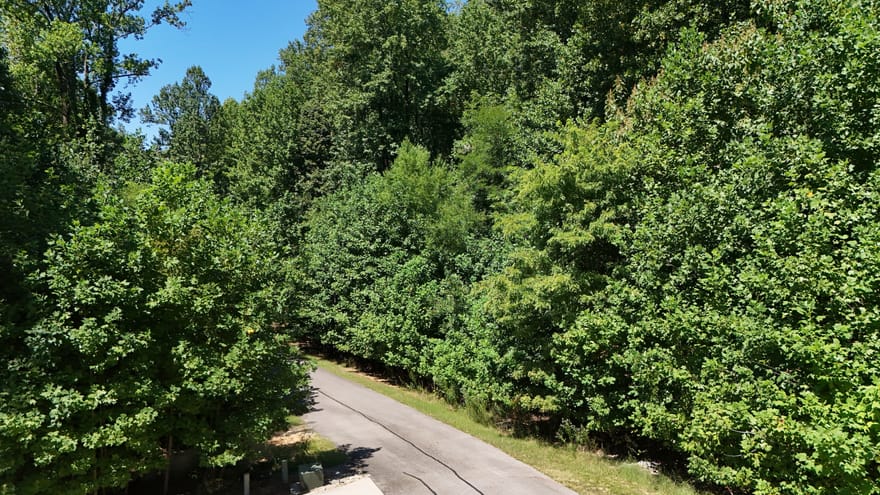 LOT 229 Stone Cliff Trace, Cleveland, Georgia