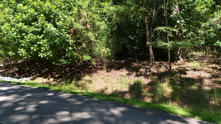LOT 229 Stone Cliff Trace, Cleveland, Georgia