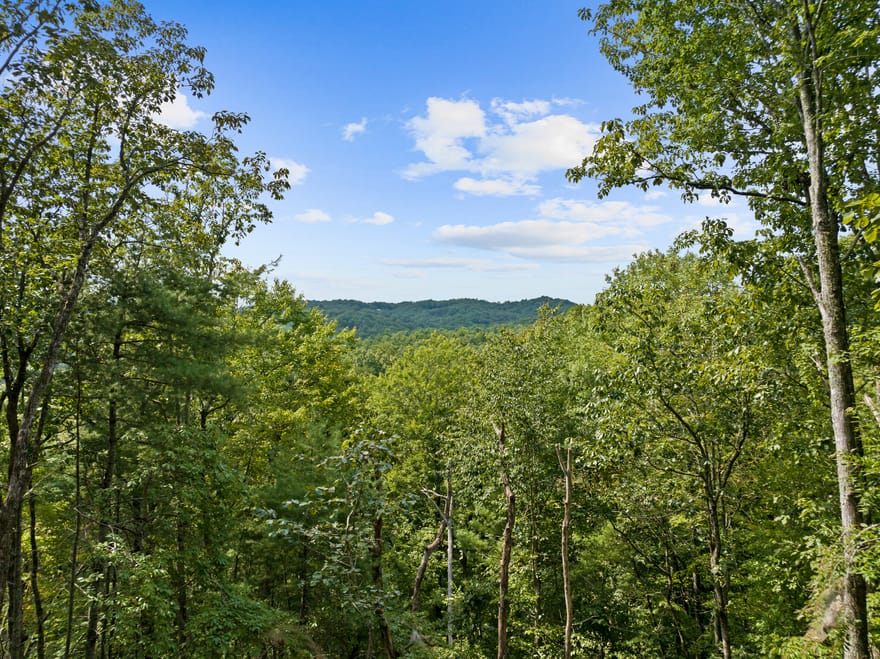 21 Mountain View Trail, Cherry Log, Georgia