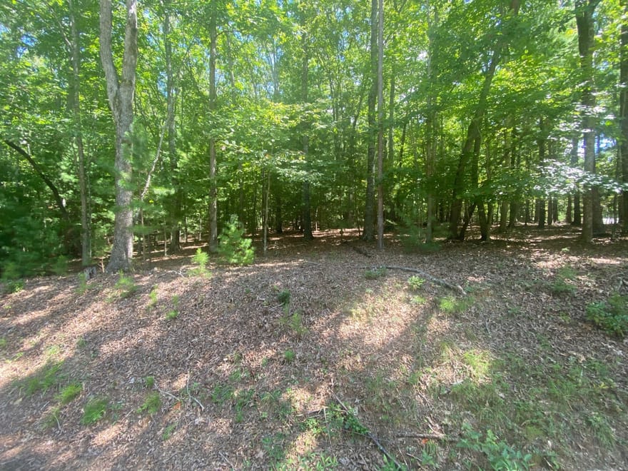 6.93 AC Timber Ridge Road, Blairsville, Georgia