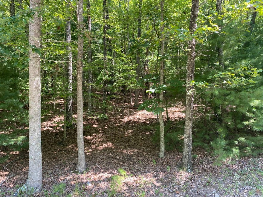 6.93 AC Timber Ridge Road, Blairsville, Georgia