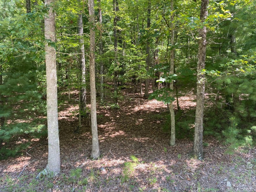 6.93 AC Timber Ridge Road, Blairsville, Georgia