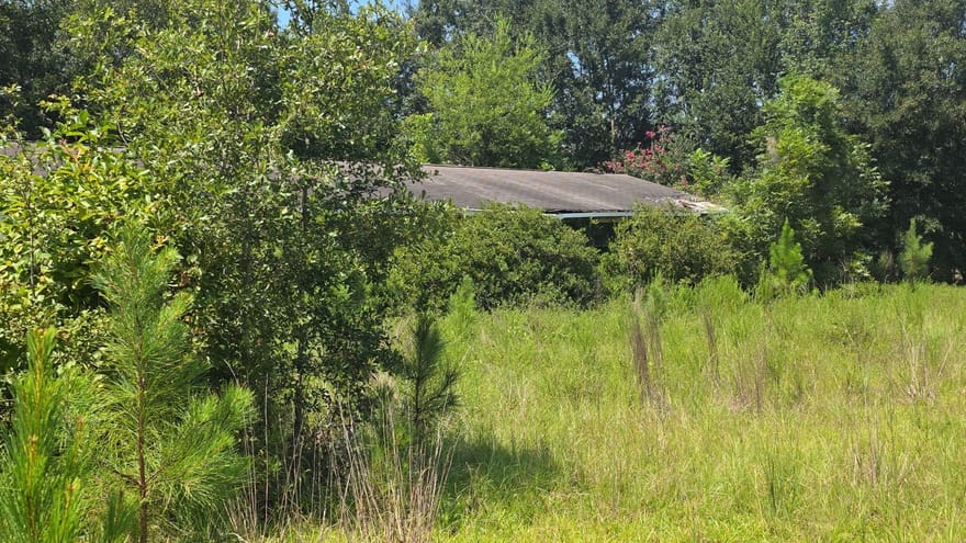 159 Grimsley Road, Colquitt, Georgia