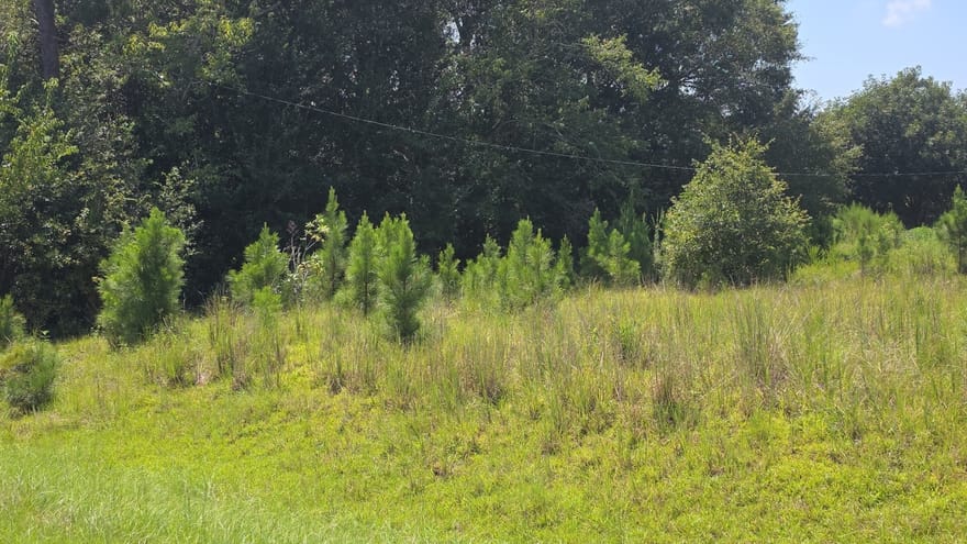 159 Grimsley Road, Colquitt, Georgia