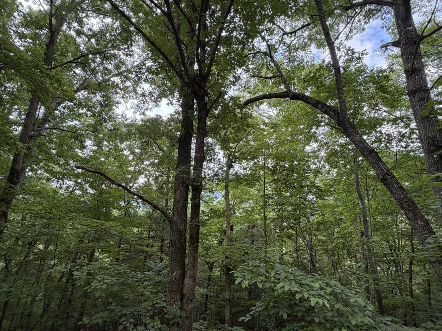 4.63 Twiggs Road, Hiawassee, Georgia