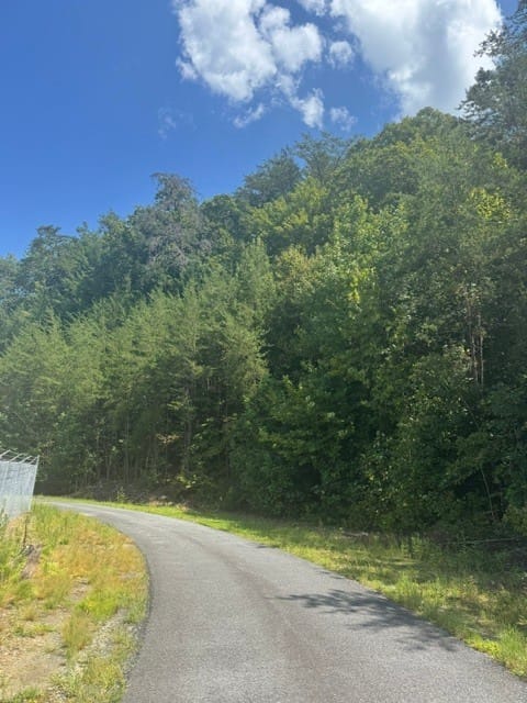 Old Northcutt Road, Ellijay, Georgia