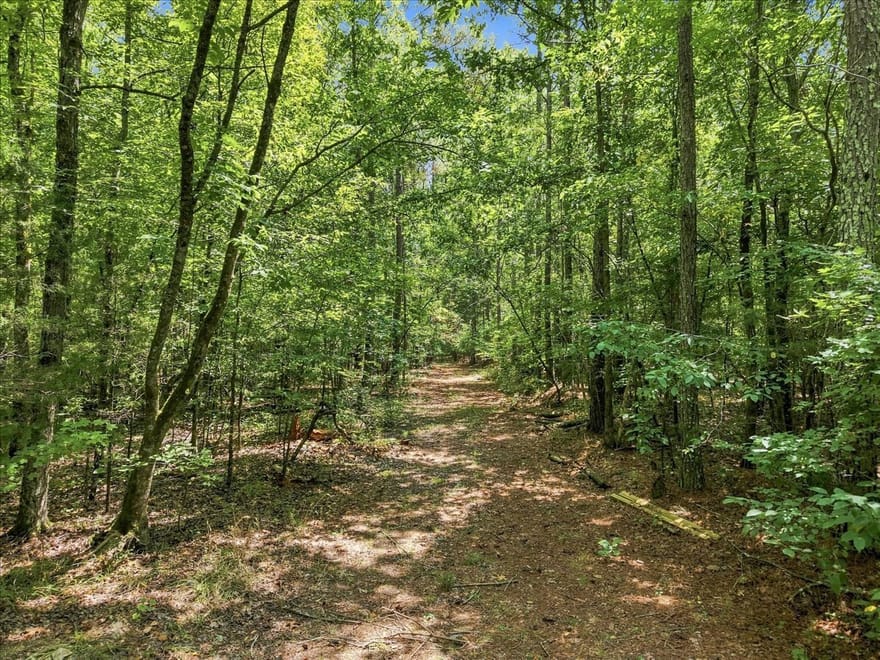 Cherokee Road, Elberton, Georgia