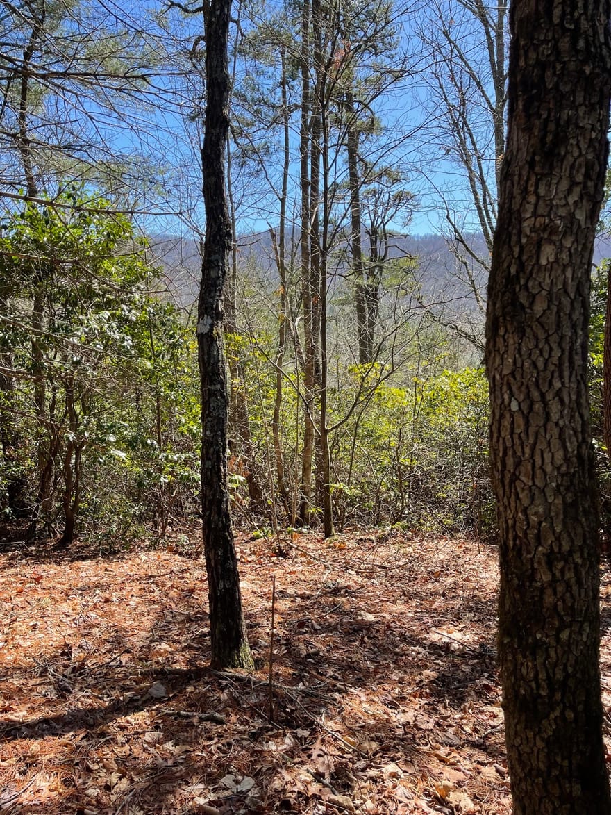 Chesada Lane, Blairsville, Georgia