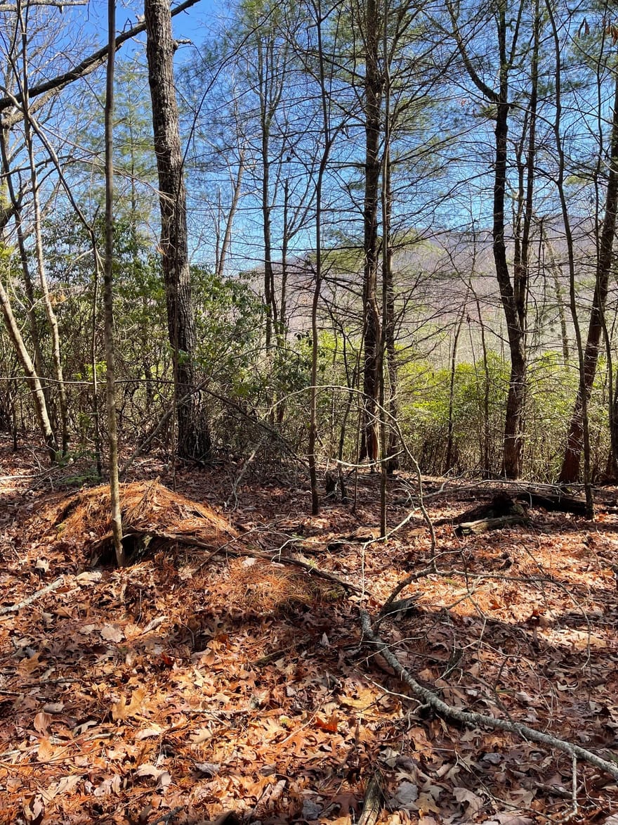 Chesada Lane, Blairsville, Georgia